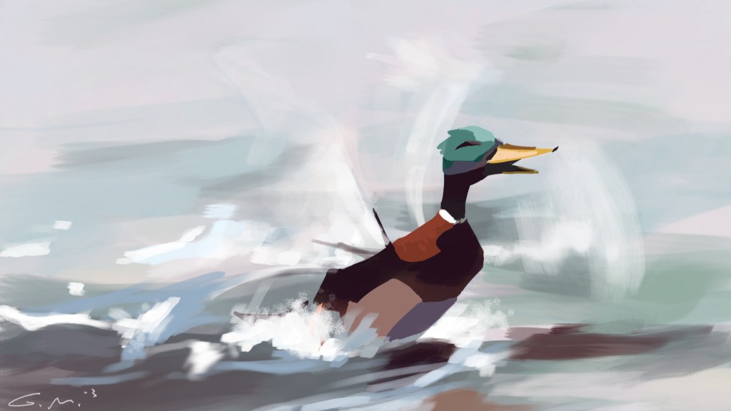 duck